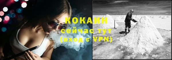 гидра Абаза