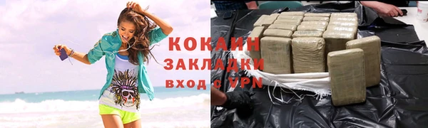 гидра Абаза