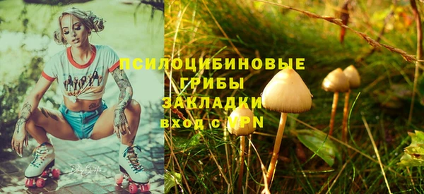 бошки Алзамай