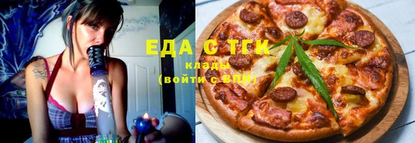 гашик Алексин