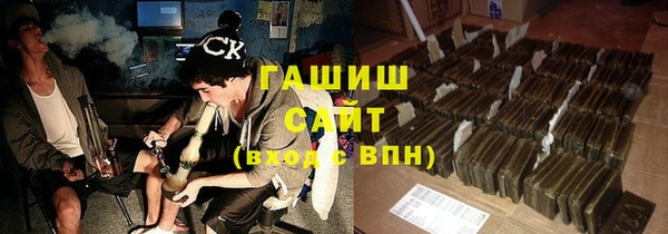 гидра Абаза