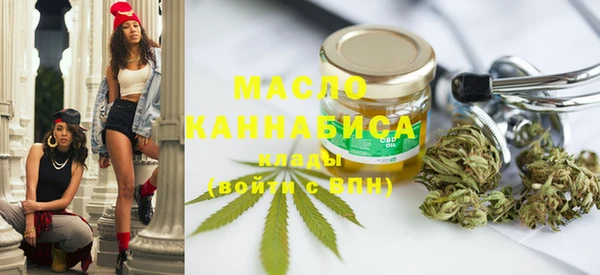 гидра Абаза