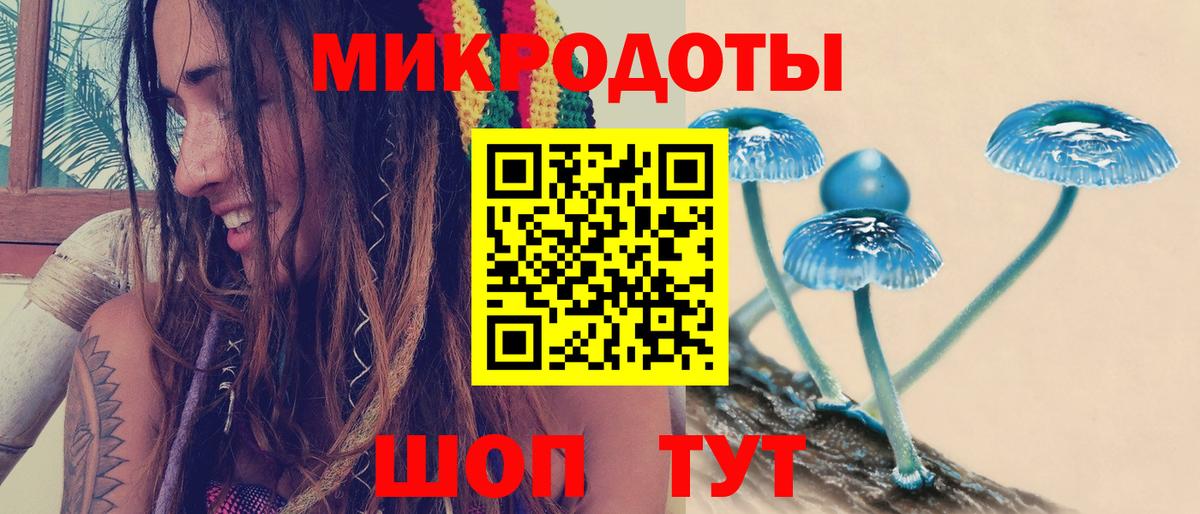 Псилоцибиновые грибы MAGIC MUSHROOMS  Вход с VPN  Псилоцибиновые грибы GOLDEN TEACHER  Десногорск 